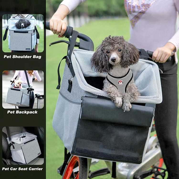 7 of the Best Dog Bike Baskets and Dog Carriers for 2024 • Average Joe