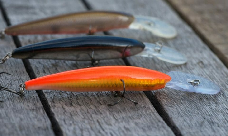 Best Bait for Pond Fishing Average Outdoorsman