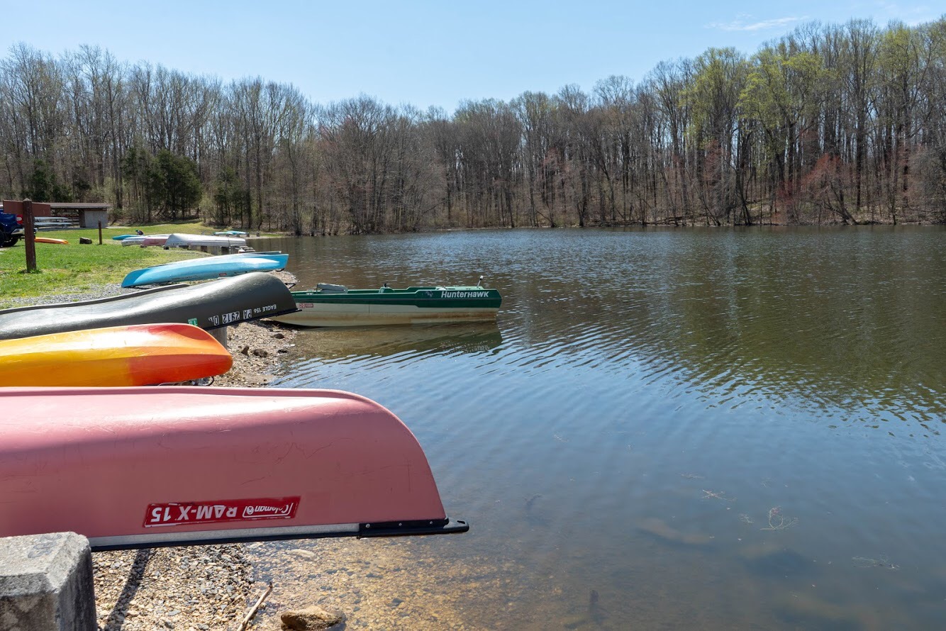 Gifford Pinchot State Park 7 Hacks to Keep You From Making Our Camping