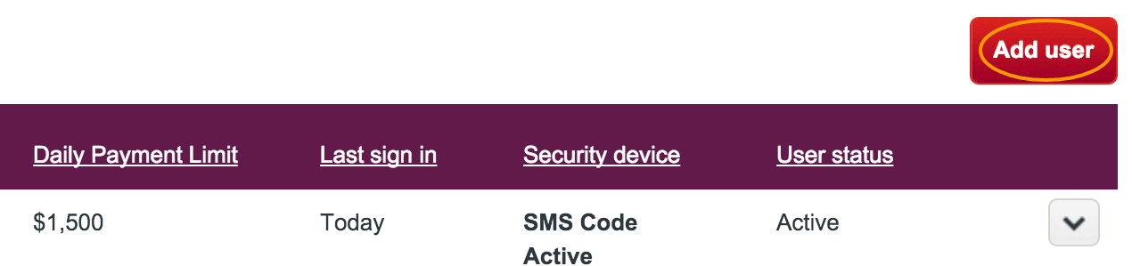 Giving Bookkeeper / Accountant ReadOnly Access to Westpac Accounts