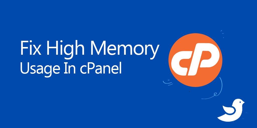 How to Fix High Memory Usage in cPanel Aveshost Blog