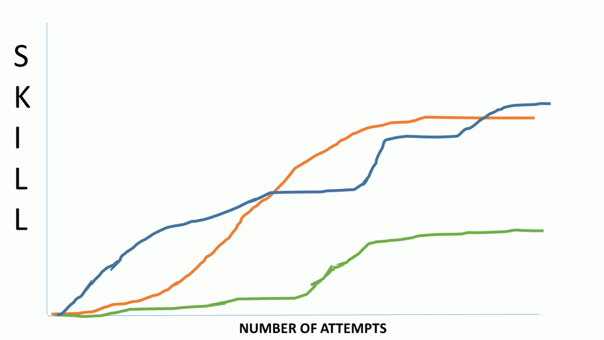 About A View from the Curve