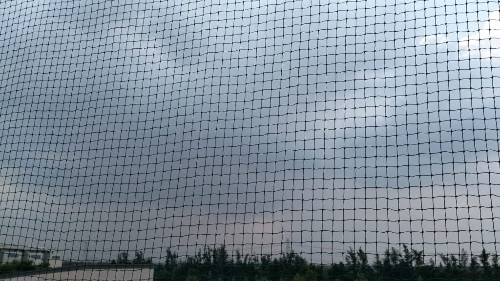 Best Pigeon Net for Balconies Faridabad