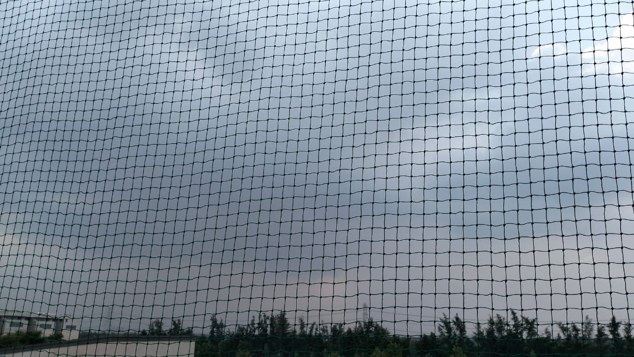 Best Pigeon Net for Balconies Faridabad