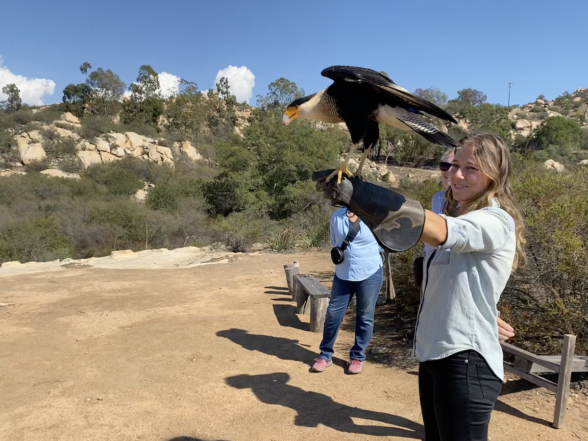 Fall recap Skill building, transparency, and skip the ego