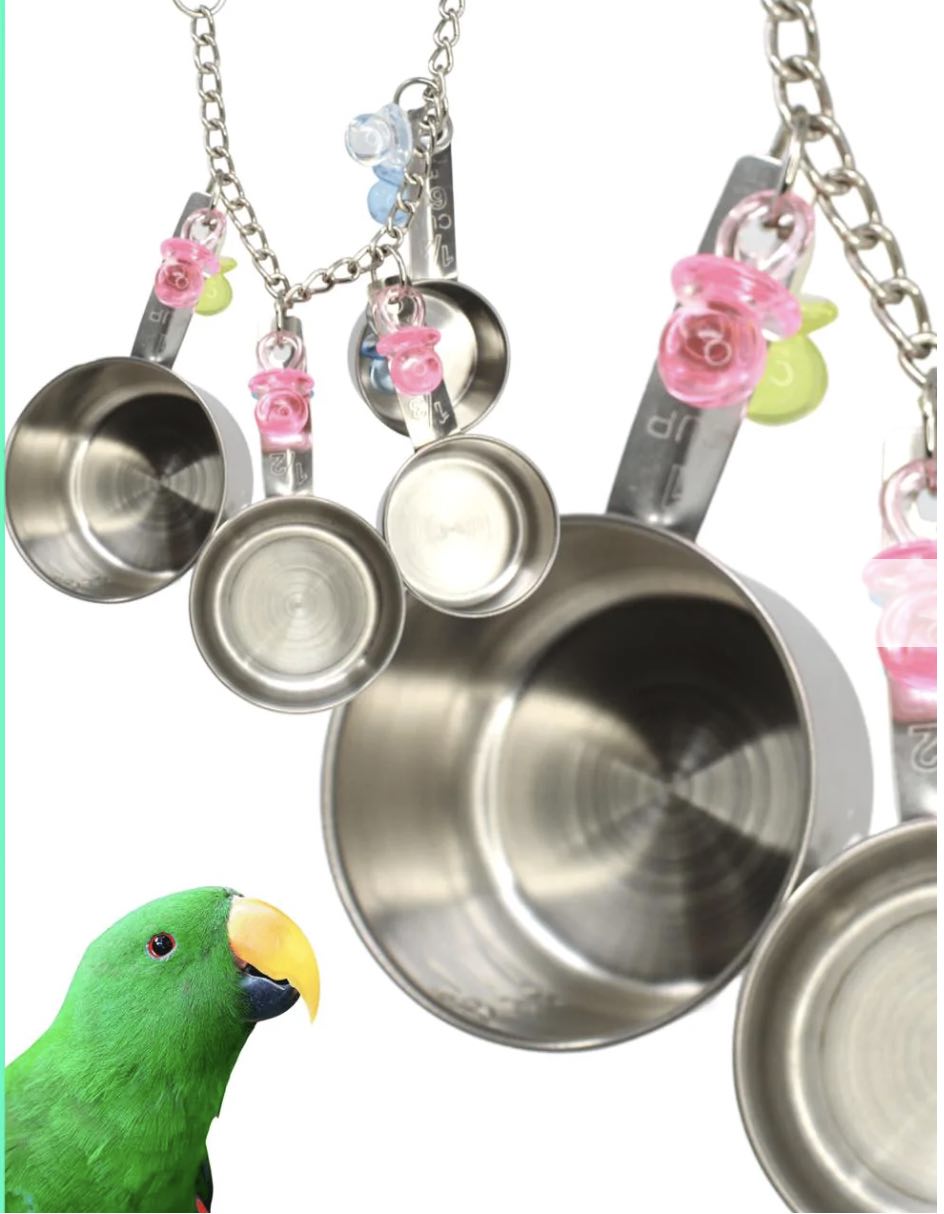 2022 Gift guide for bird lover on your list Avian Behavior International