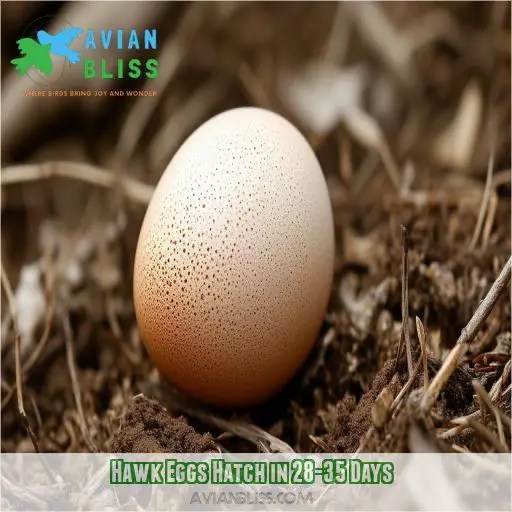 How Long Does It Take for a Bird Egg to Hatch? Species and Factors