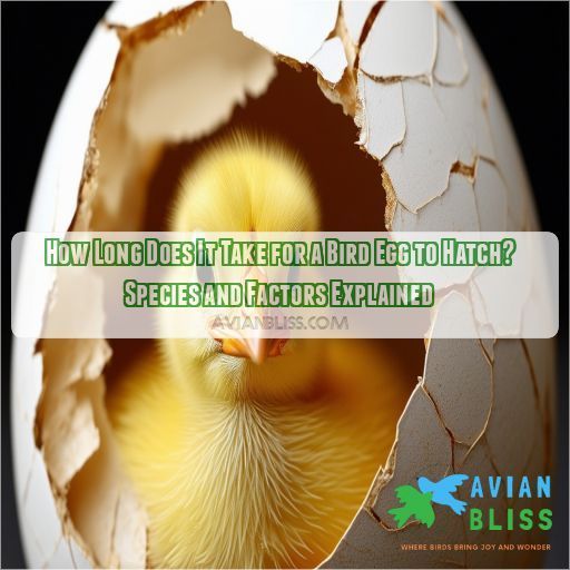 How Long Does It Take for a Bird Egg to Hatch? Species and Factors