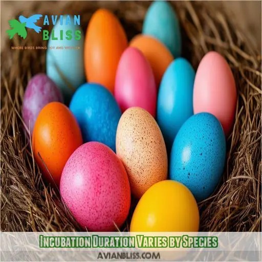 How Long Does It Take for a Bird Egg to Hatch? Species and Factors