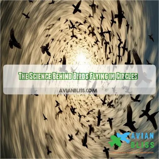 Why Do Birds Fly in Circles? Unveiling the Mysteries of Aerial Behavior