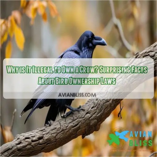 Why is It Illegal to Own a Crow? Surprising Facts About Bird Ownership Laws
