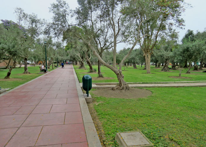 Urban Habitats Avian Report