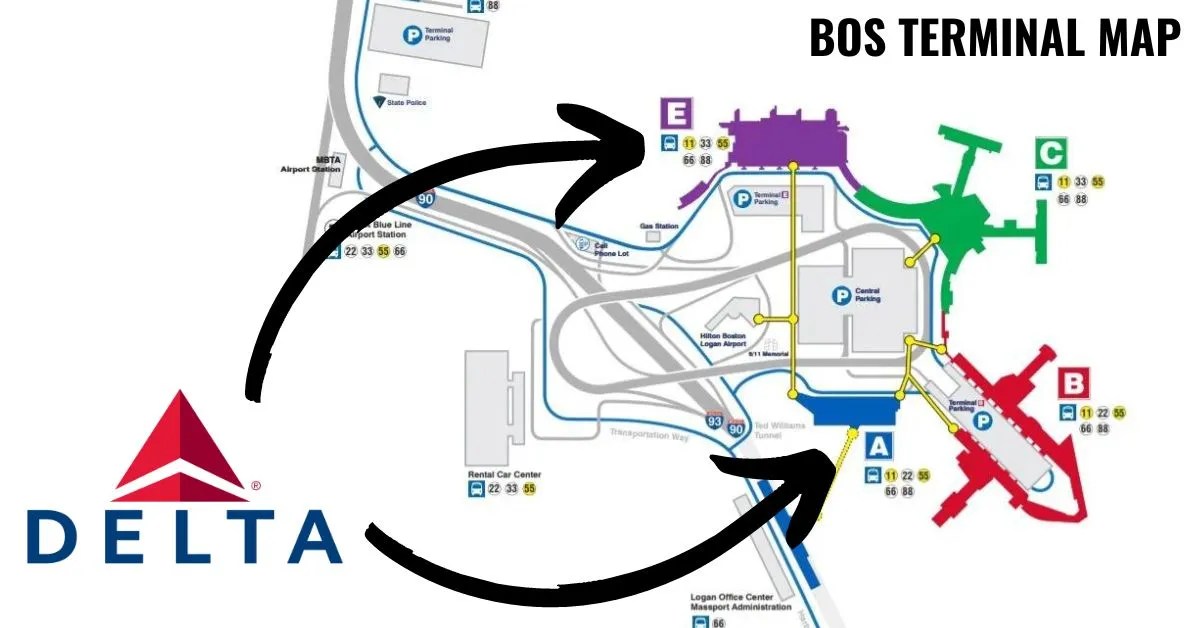 Delta Terminal At Logan Airport [2024]