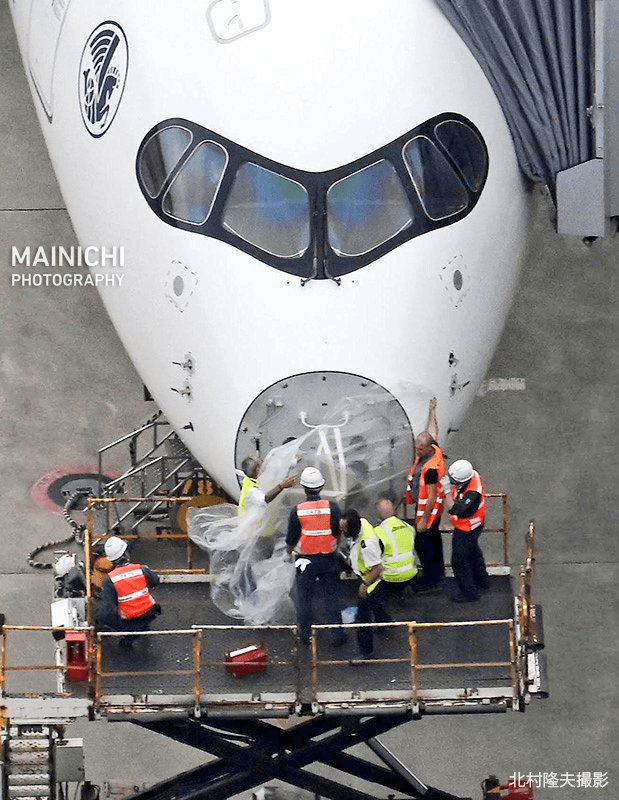 Air France Airbus A350 Damage by Bird; Forced to Make an Emergency