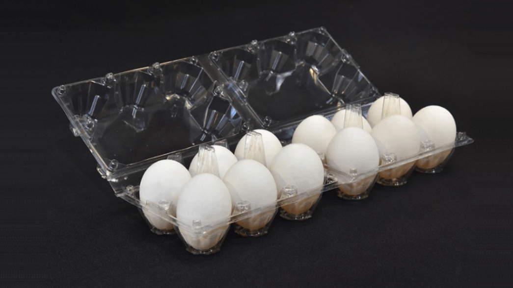 Why Plastic Egg Trays Are More Protective And Sustainable avigloplast