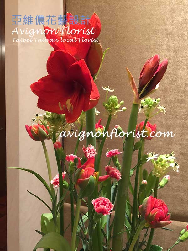 Amaryllis Taiwan Flower delivery Avignon Florist