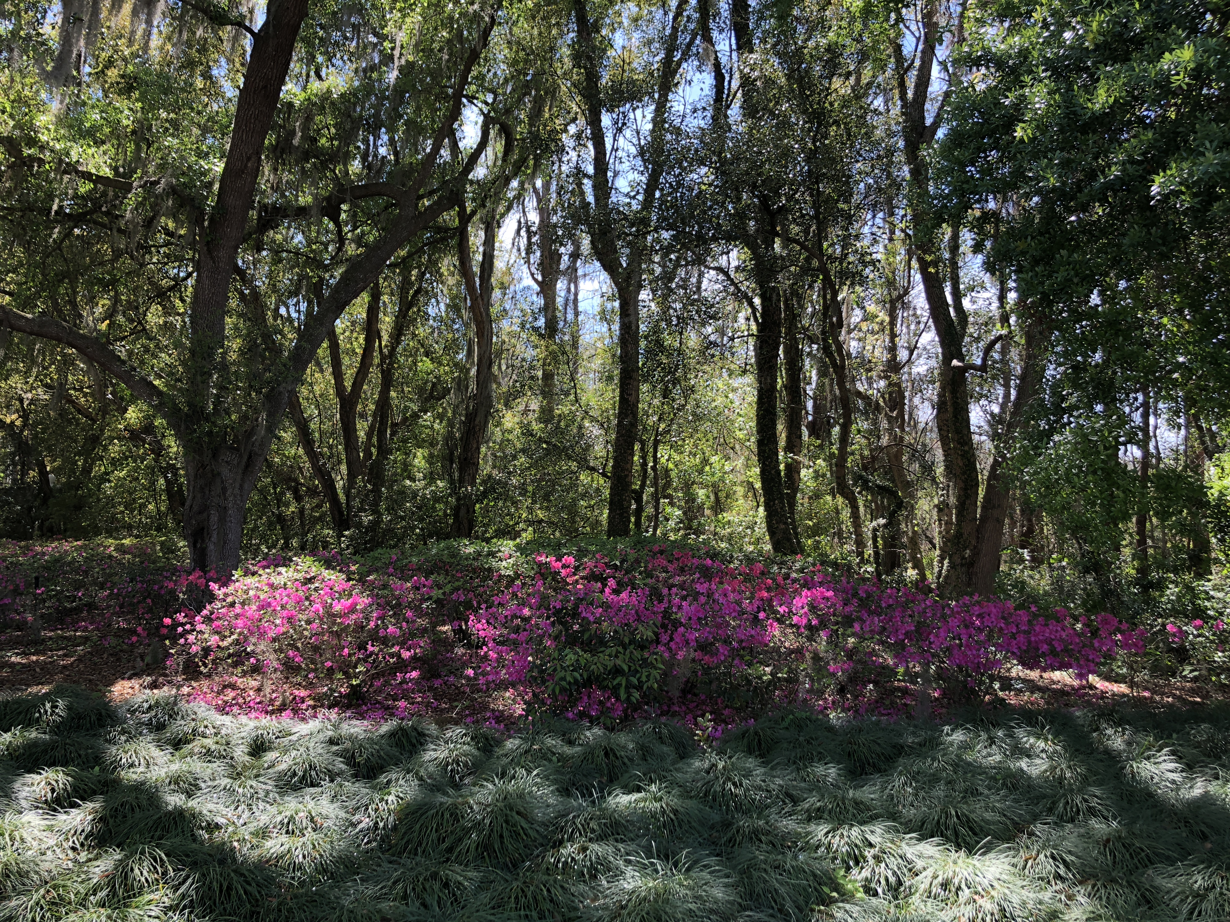 Avila Property Owners' Association