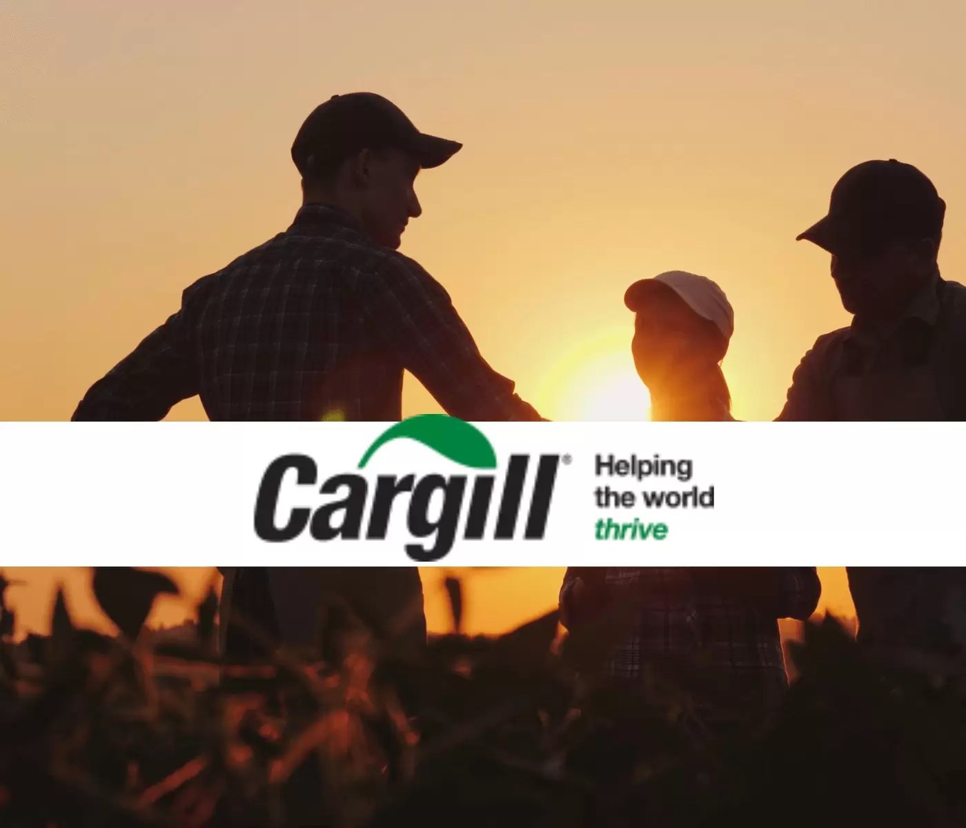 Novo programa da Cargill oferece capacitação para sucessores do