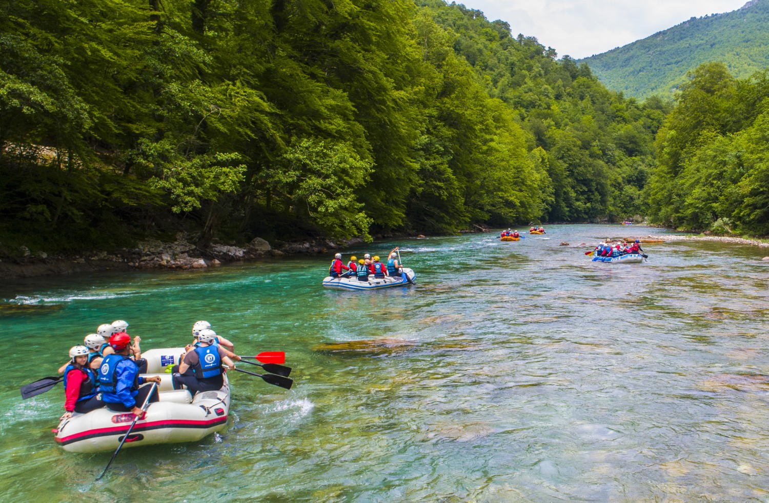 Avis Rent a car Bosna i Hercegovina Sarajevo, Aerodrom Sarajevo