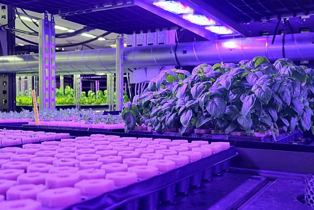 The best vertical plant factory solutions right now! Avisomo