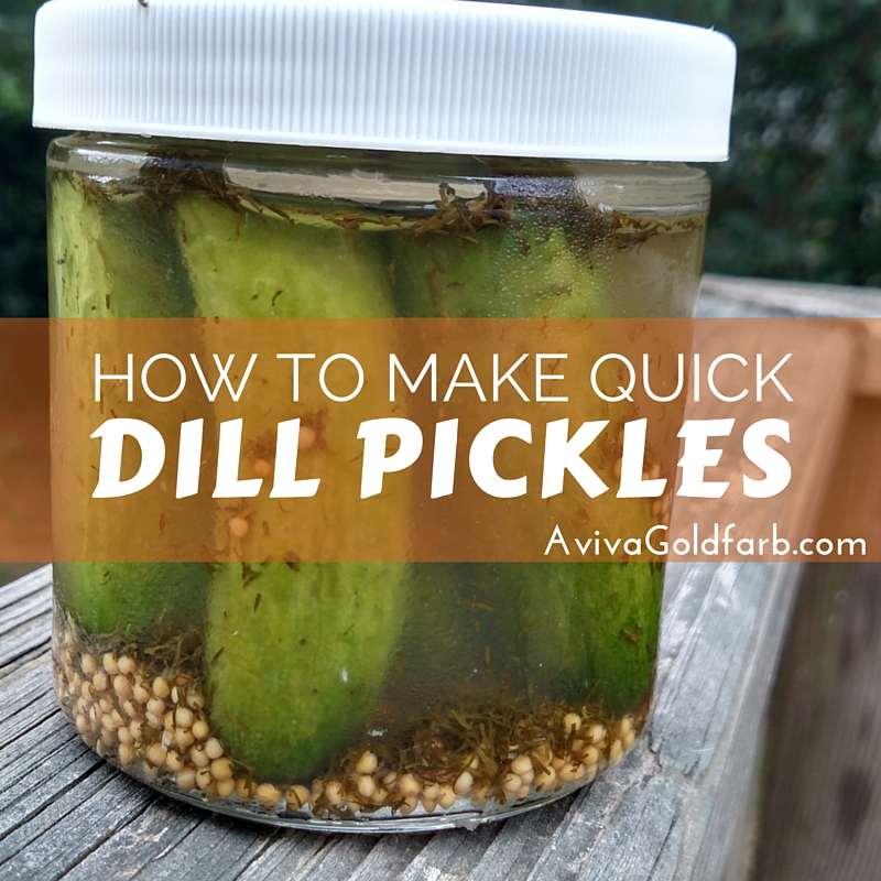 How to Make Quick Dill Pickles Aviva Goldfarb