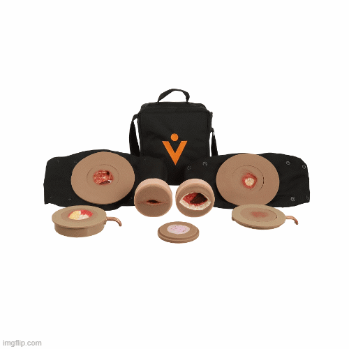 Simulated Cervix Avkin