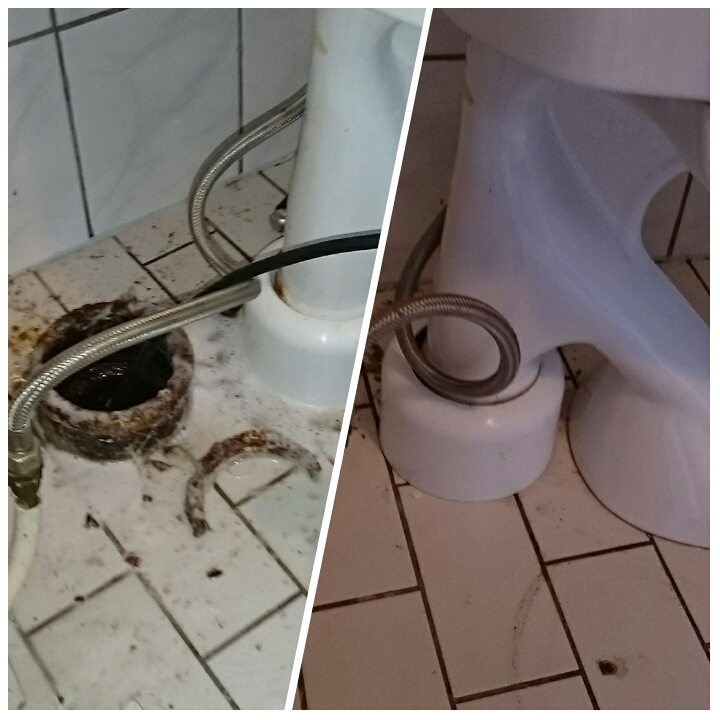 Stopp i toalett i Vendelsö Avloppsrensning