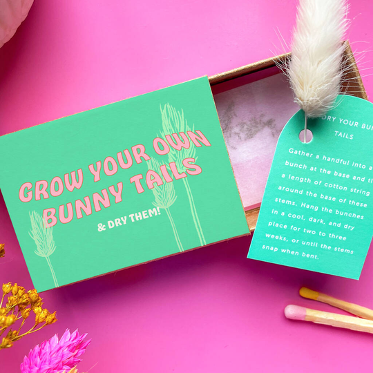 Buy Grow And Dry Your Own Bunny Tails Bunch Online