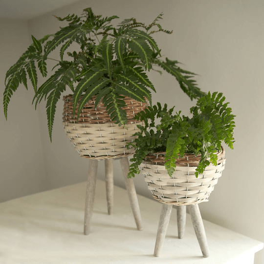 Buy Wicker Planter With Legs Online