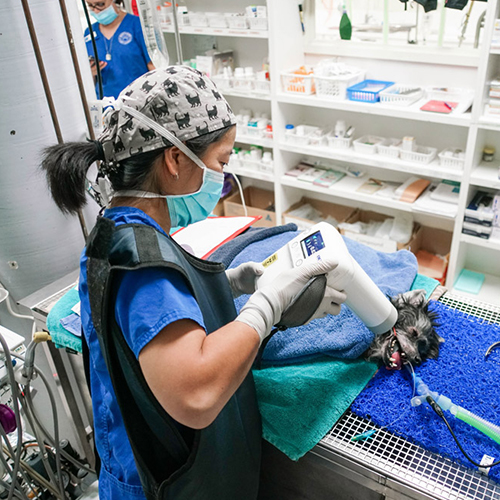 PortX IV Portable Dental XRay Asia Vet Medical Limited