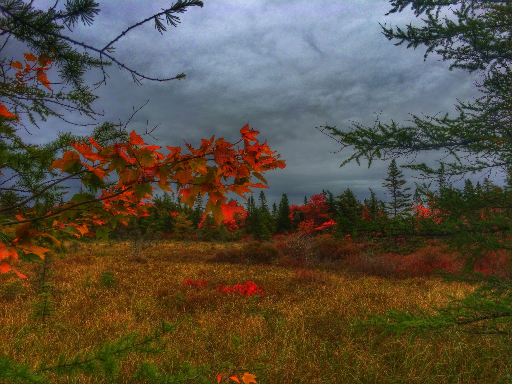 Hiking Gear Hiking Gear Halifax