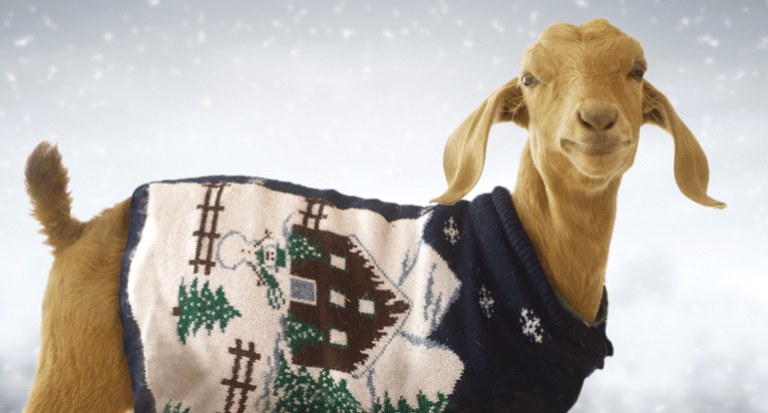 national goat day 2023 From Avonworth to Nepal Saving a Country Avonews Online