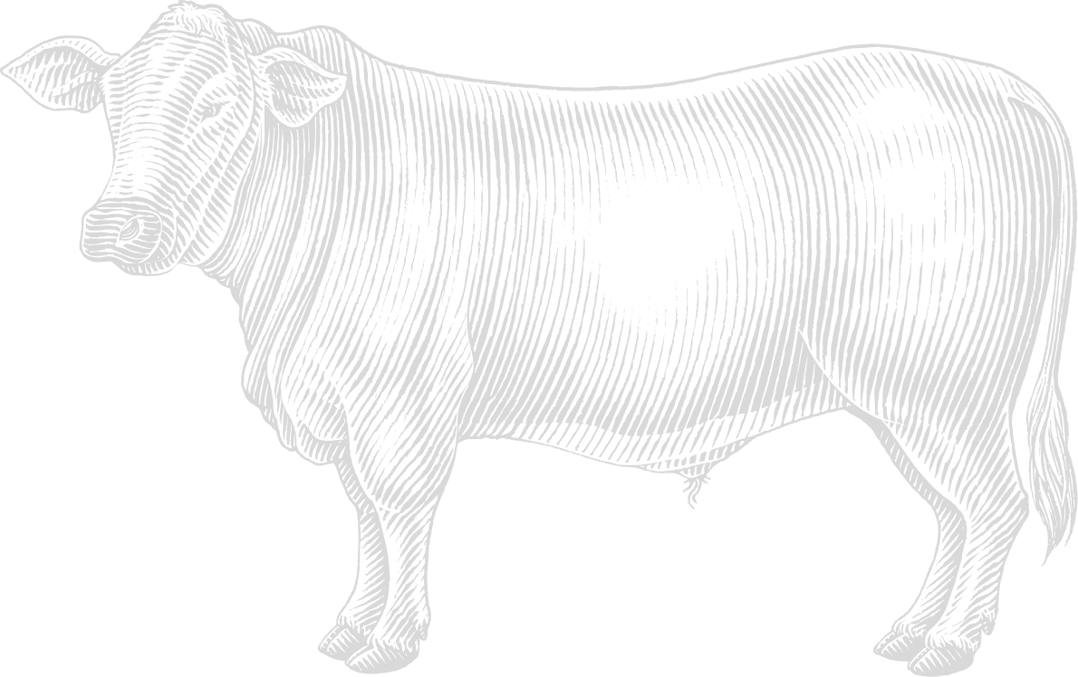 Avon Prime Meats Avon's Top Butcher, Prime Meat Market