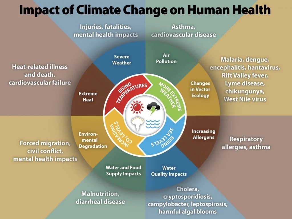 What's Next for Climate Action in Post COVID19 Recession? AVPN