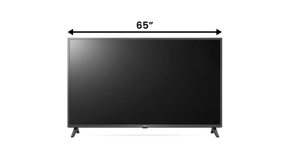 65" LED TV Rental AVPro360