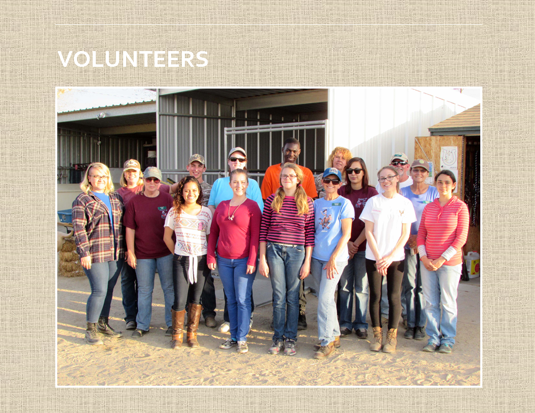 Volunteers Saddle Up Therapeutic Riding StablesSaddle Up Therapeutic