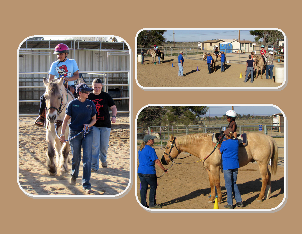 Saddle Up Riders Saddle Up Therapeutic Riding StablesSaddle Up