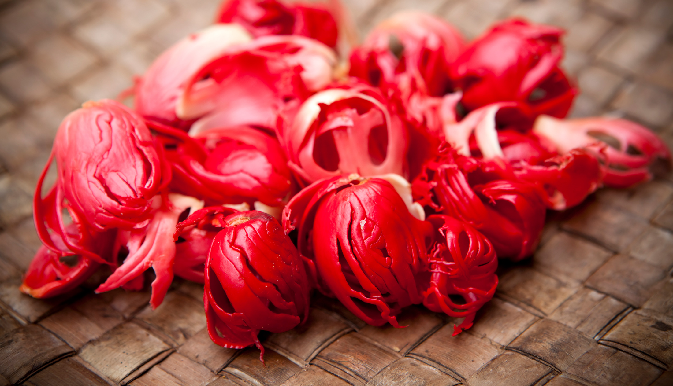 AVS Spice Broker Europe International spice brokerage company