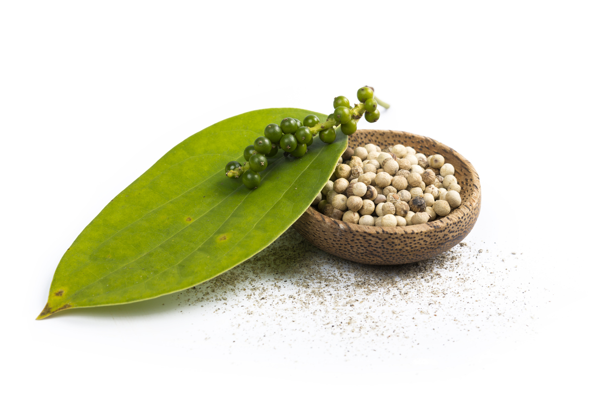 AVS Spice Broker Europe International spice brokerage company