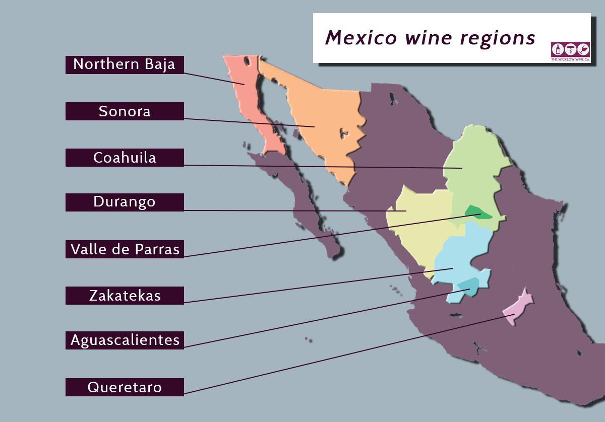 Discovering Mexican Wine