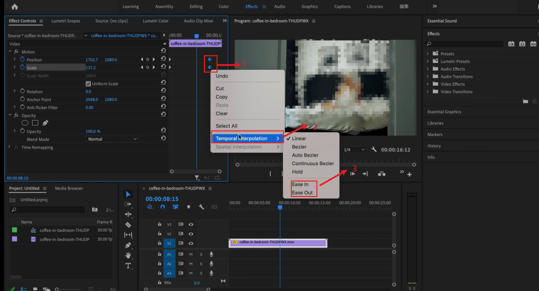 A Guide to Zoomingin on Adobe Premiere Pro