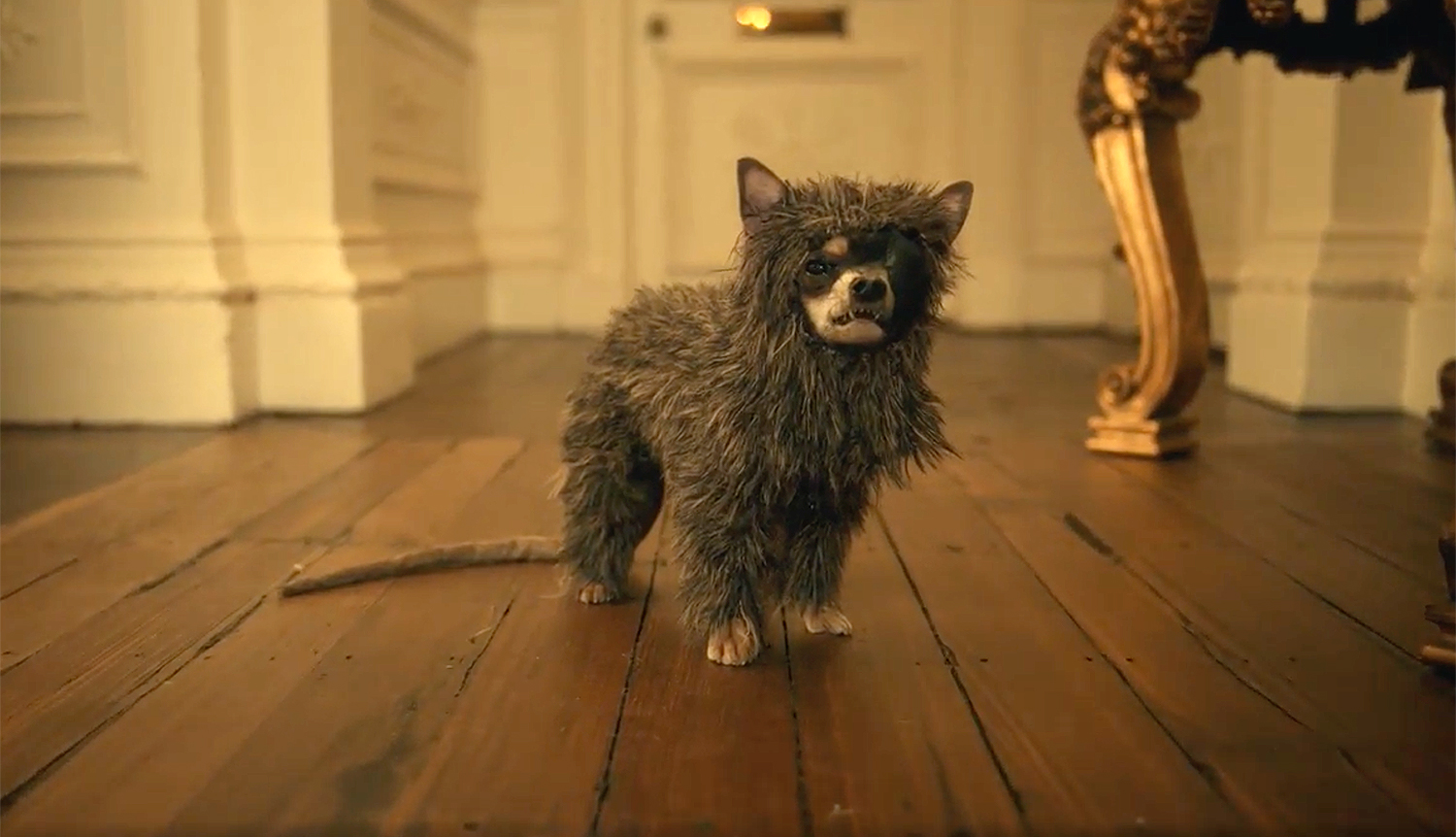 Interview Costume Designer Jenny Beavan's Work On 'Cruella' Makes an