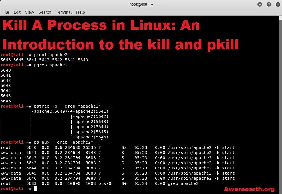 Kill A Process in Linux An Introduction to the kill and pkill Commands