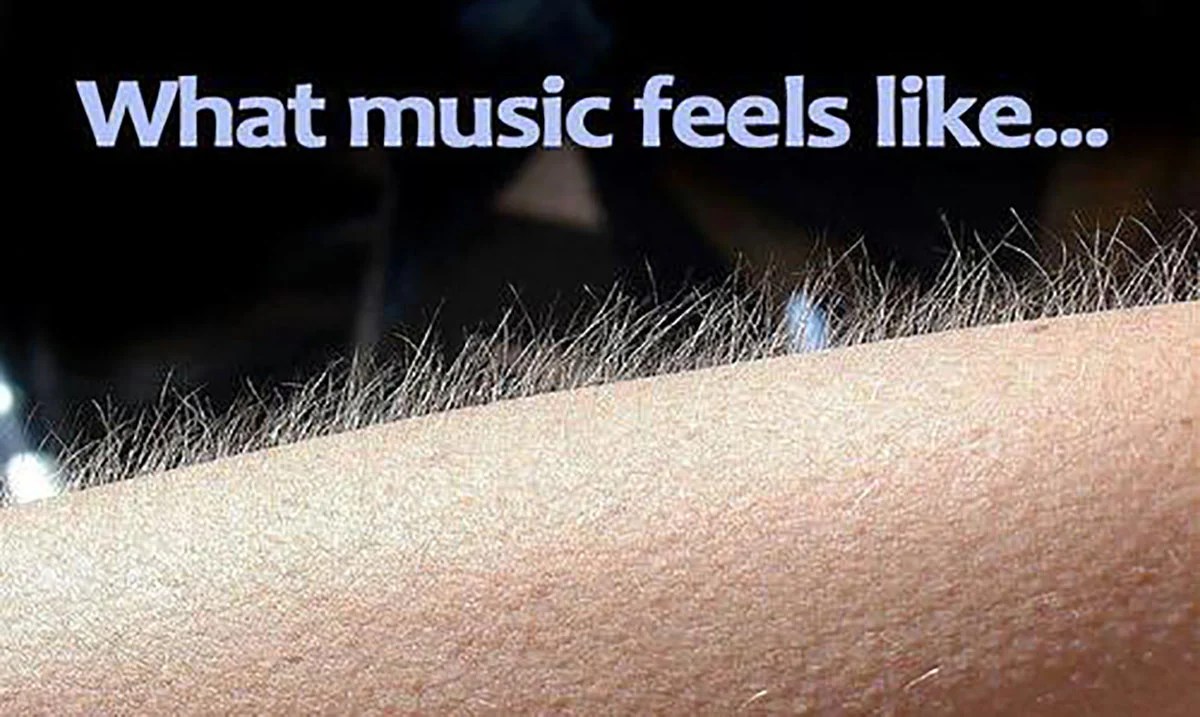If You Get Goosebumps While Listening to Music Your Brain Is Very
