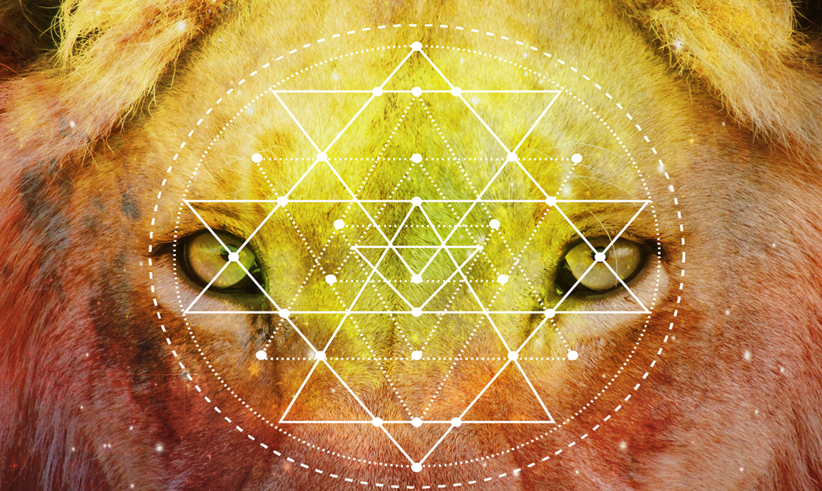 The Lion's Gate on 8/8 Is Going to Bring Us Infinite