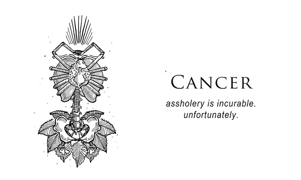 The 12 Zodiac Signs Like You've Never Seen Before! Awareness Act