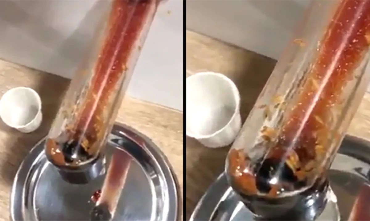 Video Reveals Live Maggots Inside A McDonald’s Ketchup Dispenser Awareness Act