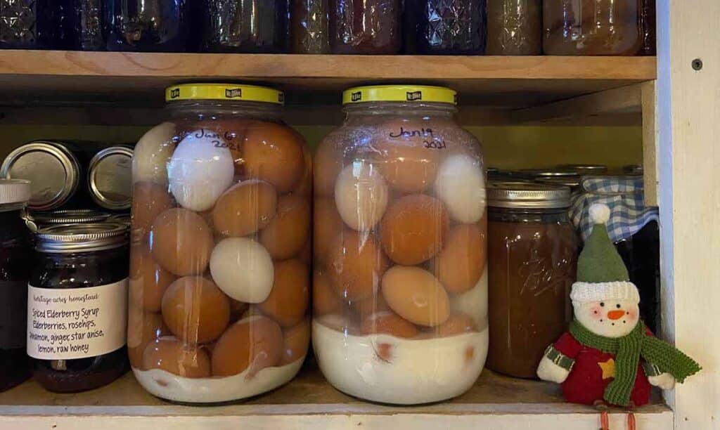 How To Preserve Eggs For Up To A Year And A Half With Using Waterglass