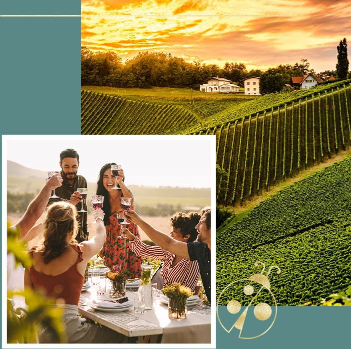 Travel Agency Wilmington Nc Tours by locals