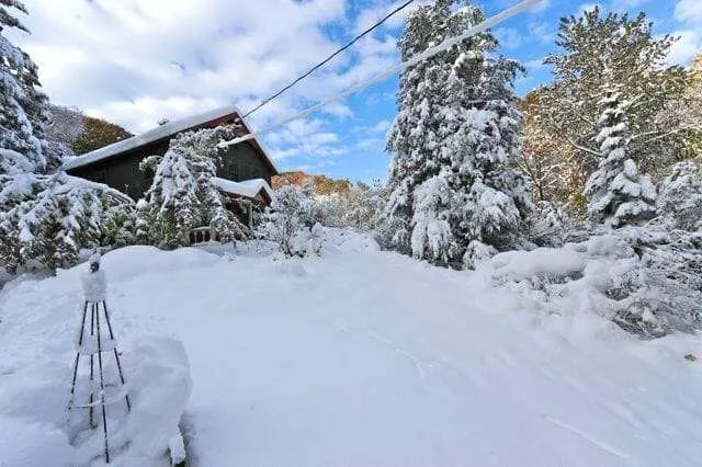 the 2011 garden in photos: a year of extremes - A Way To Garden